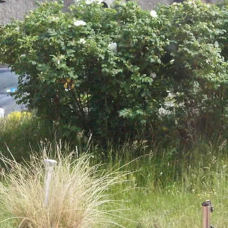 بيت للعطل Mini House I Sylt/rantum